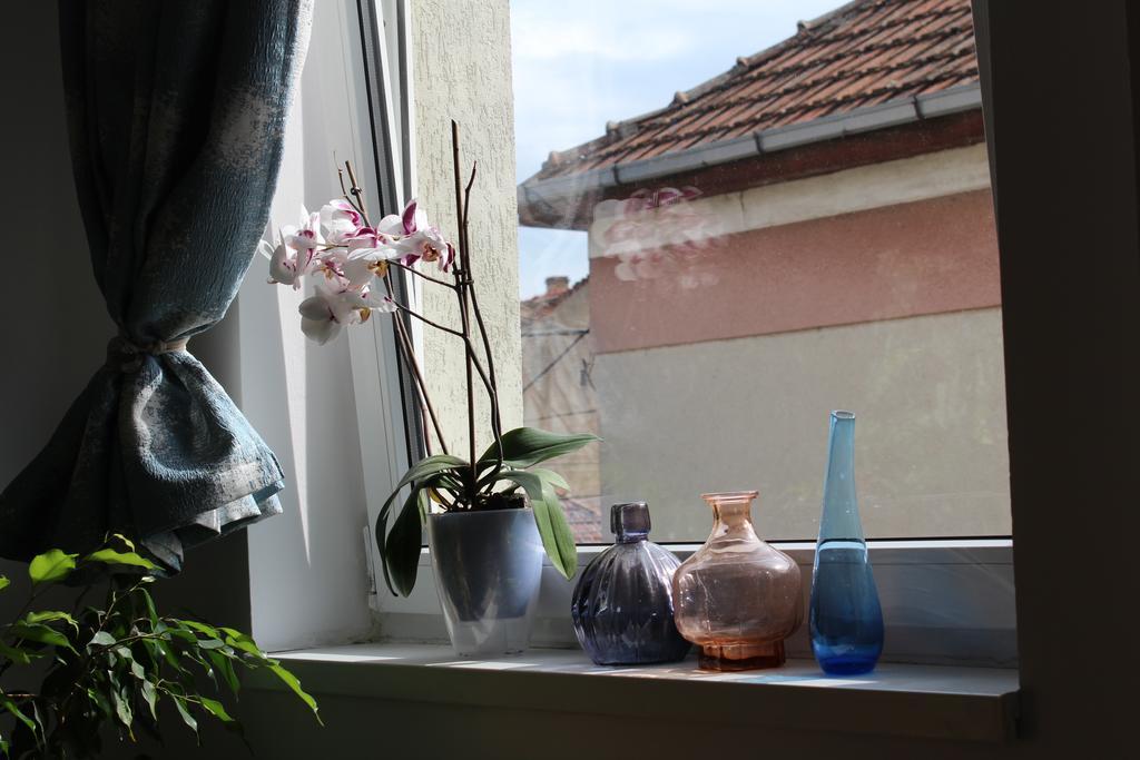 Aqua Apartments Satu Mare Bagian luar foto